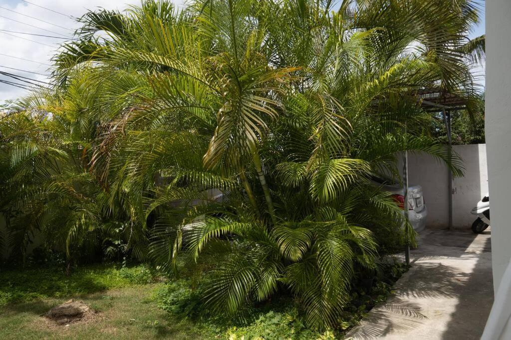 Villa Caribe Bayahibe Exterior photo